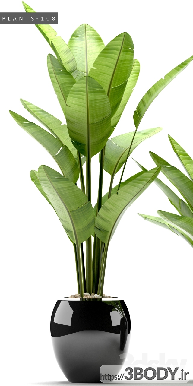 آبجکت سه بعدی مجموعه گیاهان زینتی عکس 1