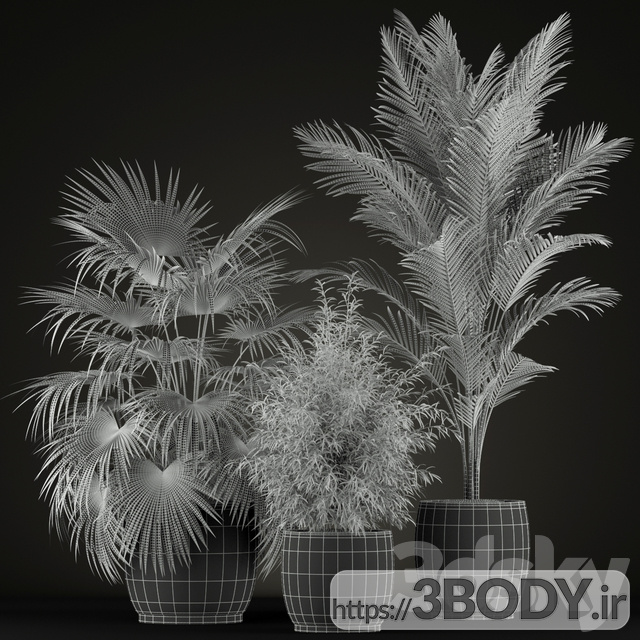 آبجکت سه بعدی مجموعه گیاهان عکس 2