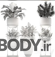مدل سه بعدی مجموعه گل و گیاهان داخلی و خارجی عکس 3
