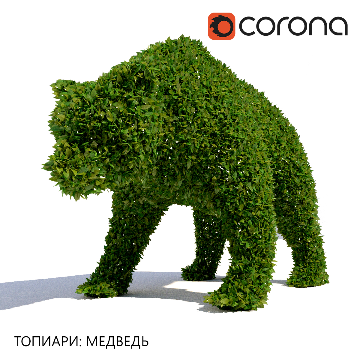 آبجکت سه بعدی درخت خرس عکس 2