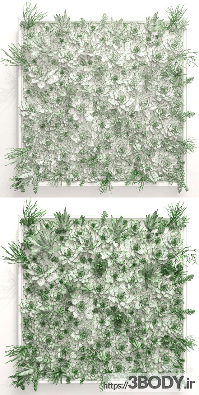 آبجکت سه بعدی  گل و گیاه دیواری عکس 3