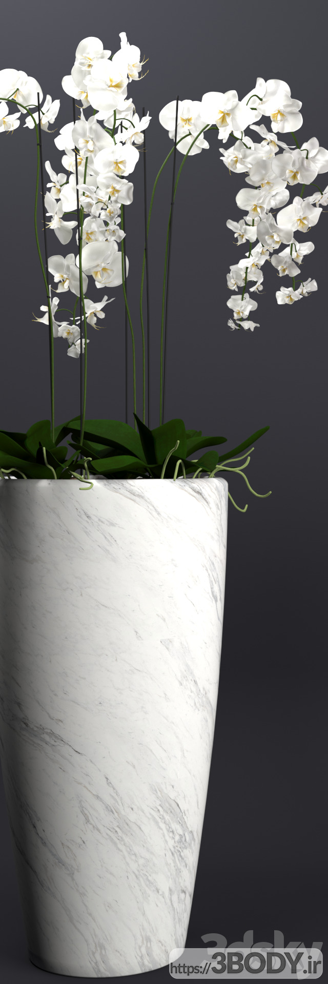 مدل سه بعدی دسته گل  و گلدان ارکیده عکس 3