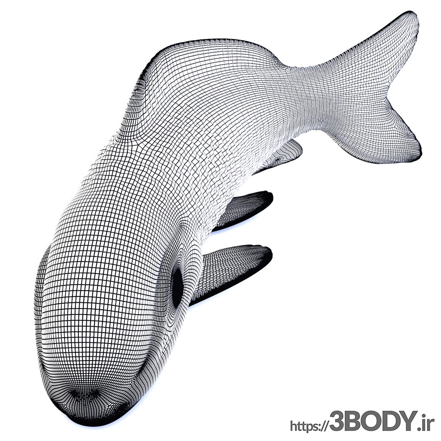مدل سه بعدی مجسمه ماهی کپور عکس 3