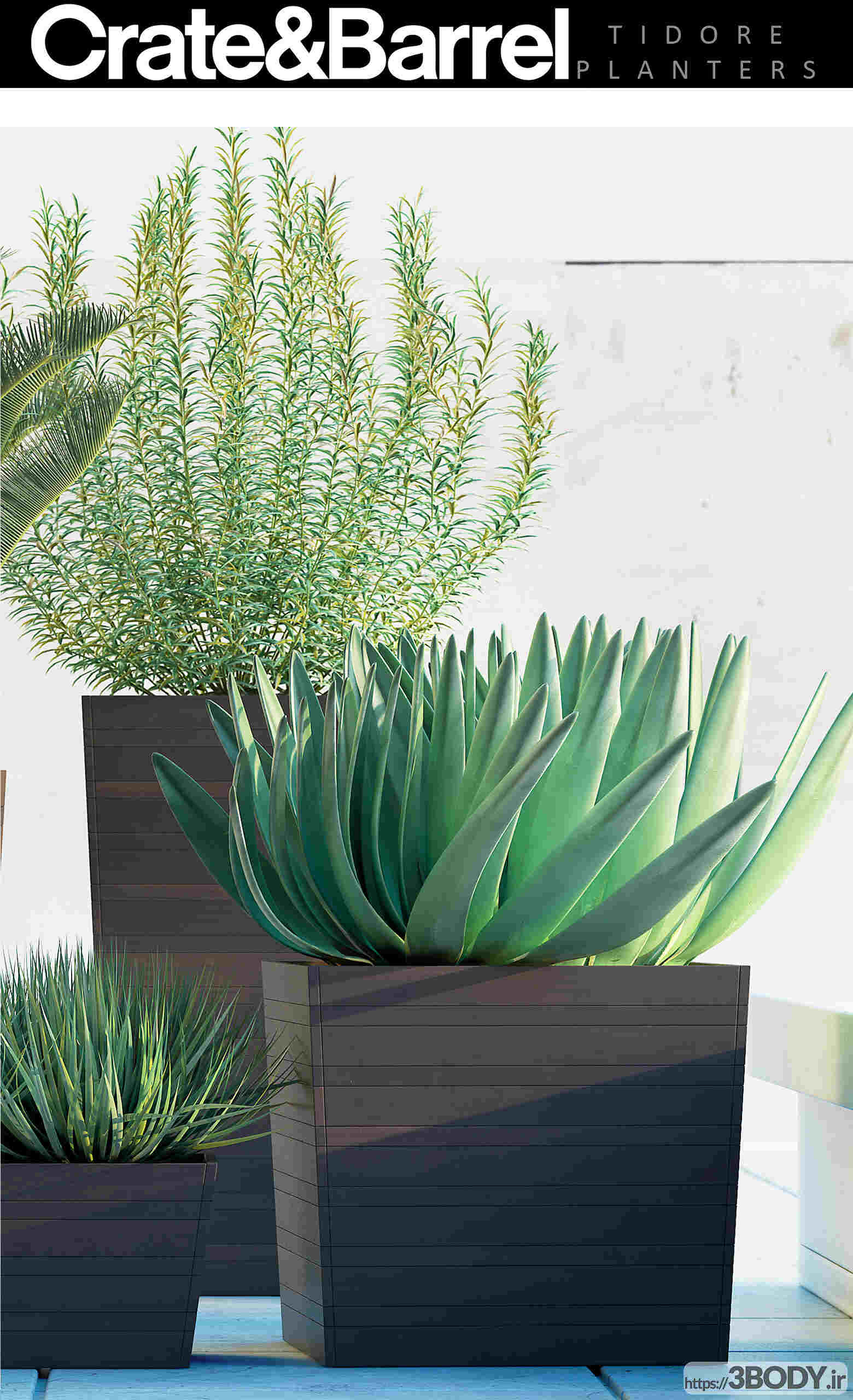 آبجکت سه بعدی گیاهان خارج از خانه عکس 3
