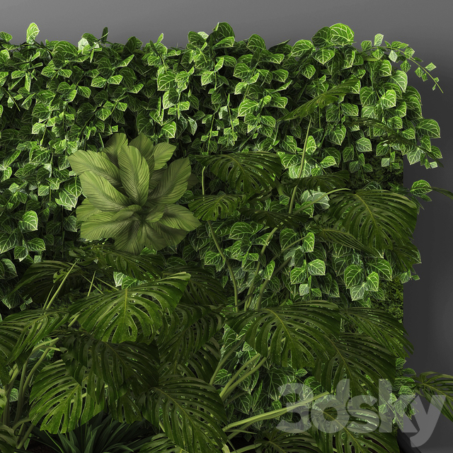 آبجکت سه بعدی گل و گیاه دیواری عکس 2