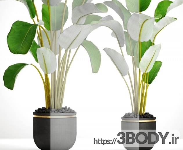 مدل سه بعدی مجموعه گیاهان گلدانی عکس 2