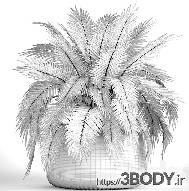 مدل آماده و مدل سه بعدی گل و گیاه درختچه عکس 3