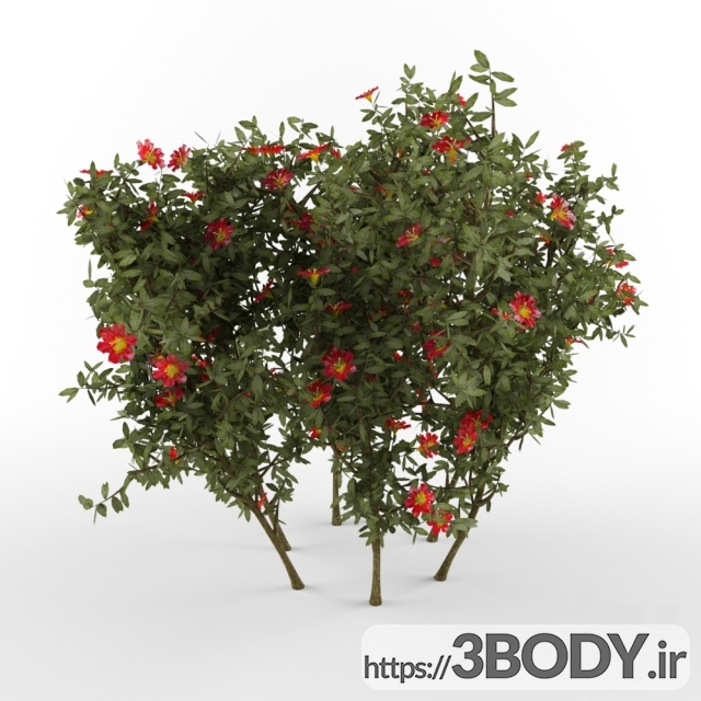 مدل سه بعدی درخت و درختچه بوته با گل عکس 1