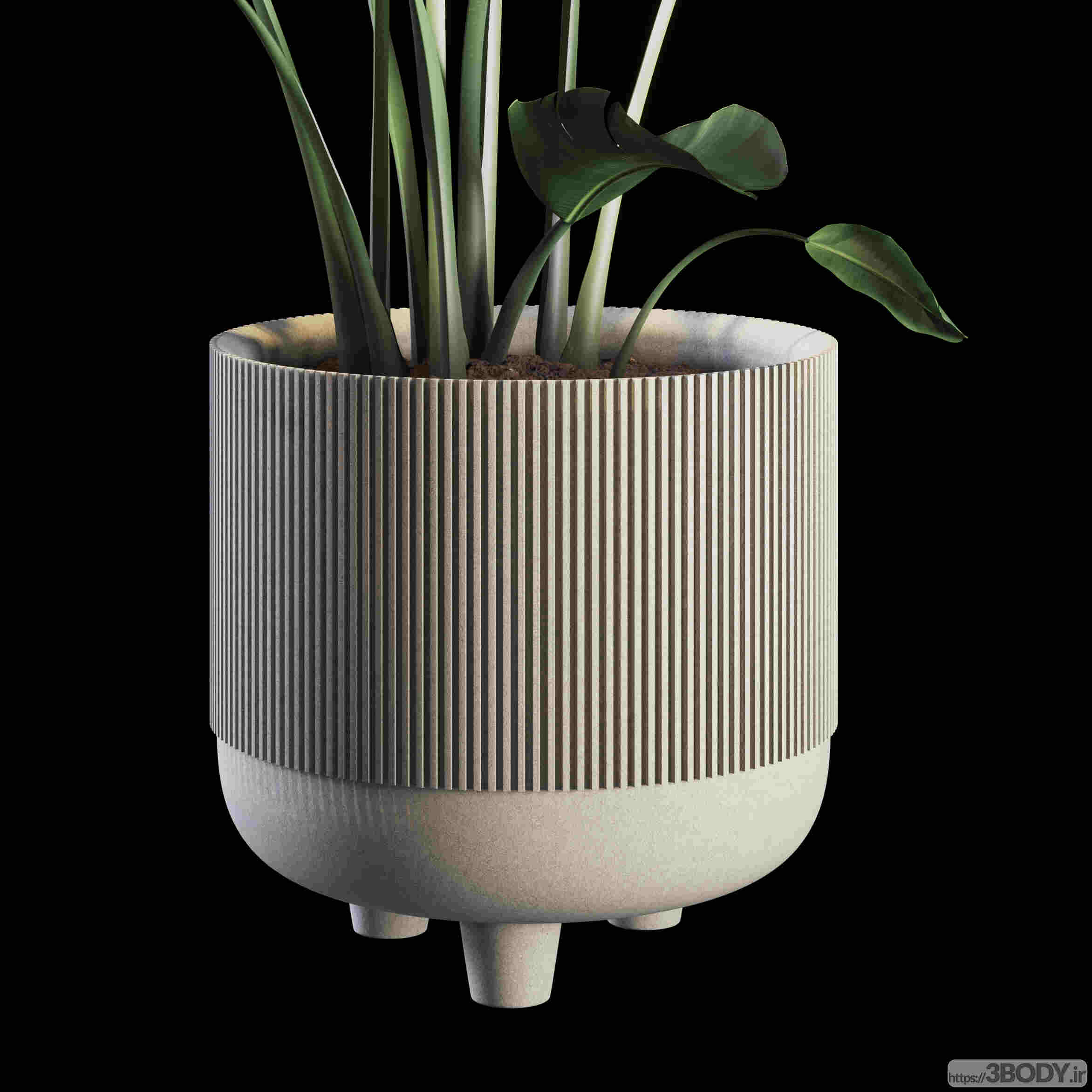 آبجکت سه بعدی گیاهان داخلی عکس 3