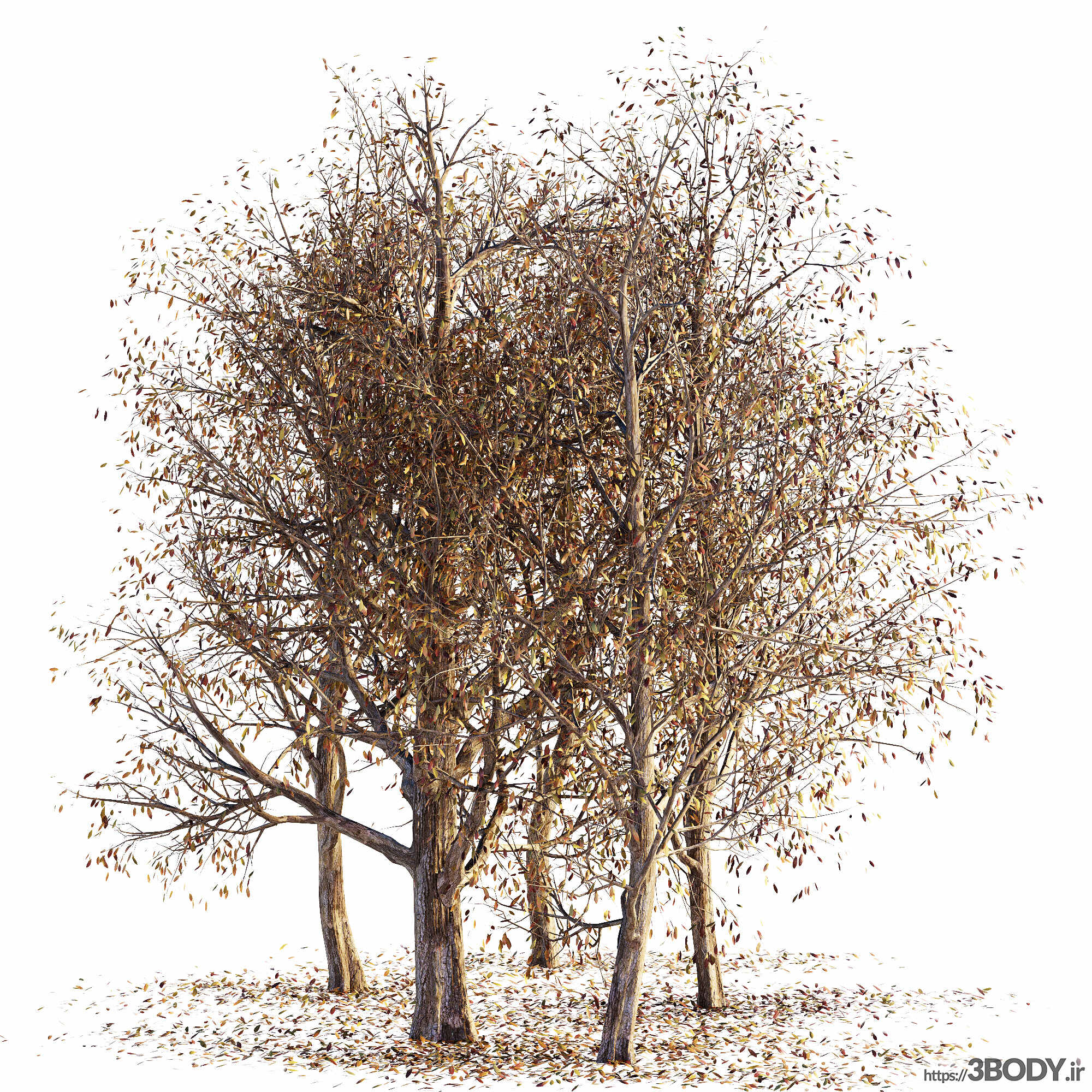 مدل سه بعدی مجموعه درختان خشک پاییزی عکس 2