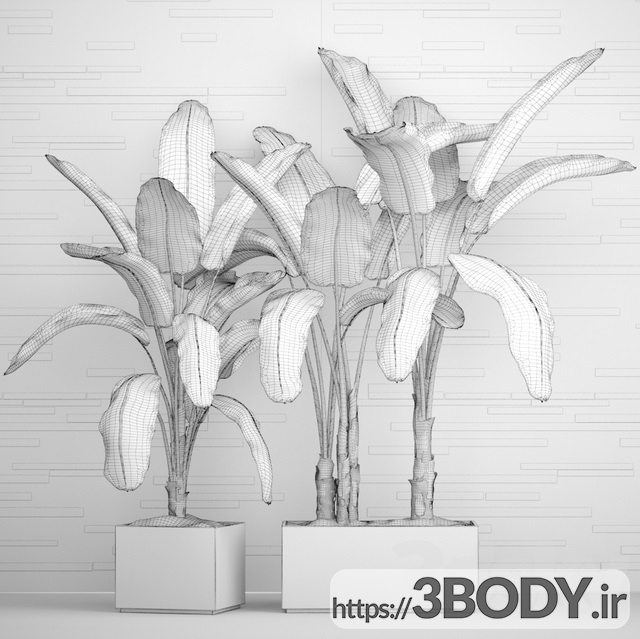 آبجکت سه بعدی مجموعه ای از گیاهان در گلدان عکس 3