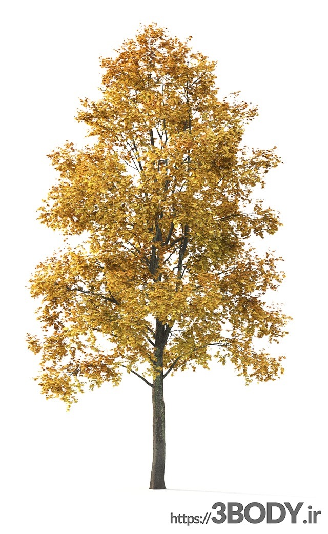 آبجکت سه بعدی  درخت ودرختچه عکس 3
