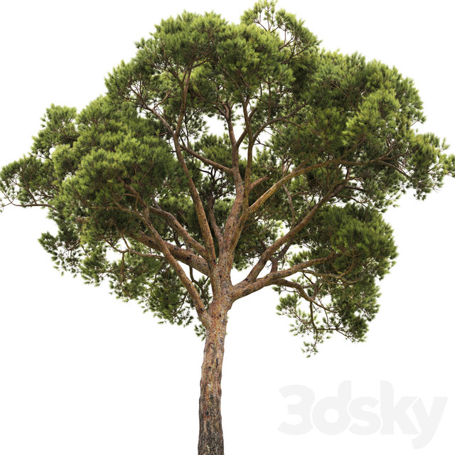 آبجکت سه بعدی درخت برای 3dsmax عکس 3