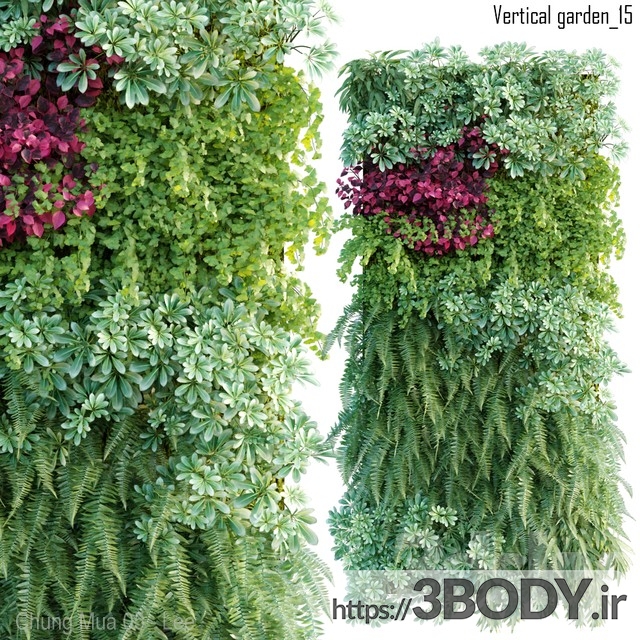 مدل سه بعدی درخت و درختچه باغچه عمودی عکس 1