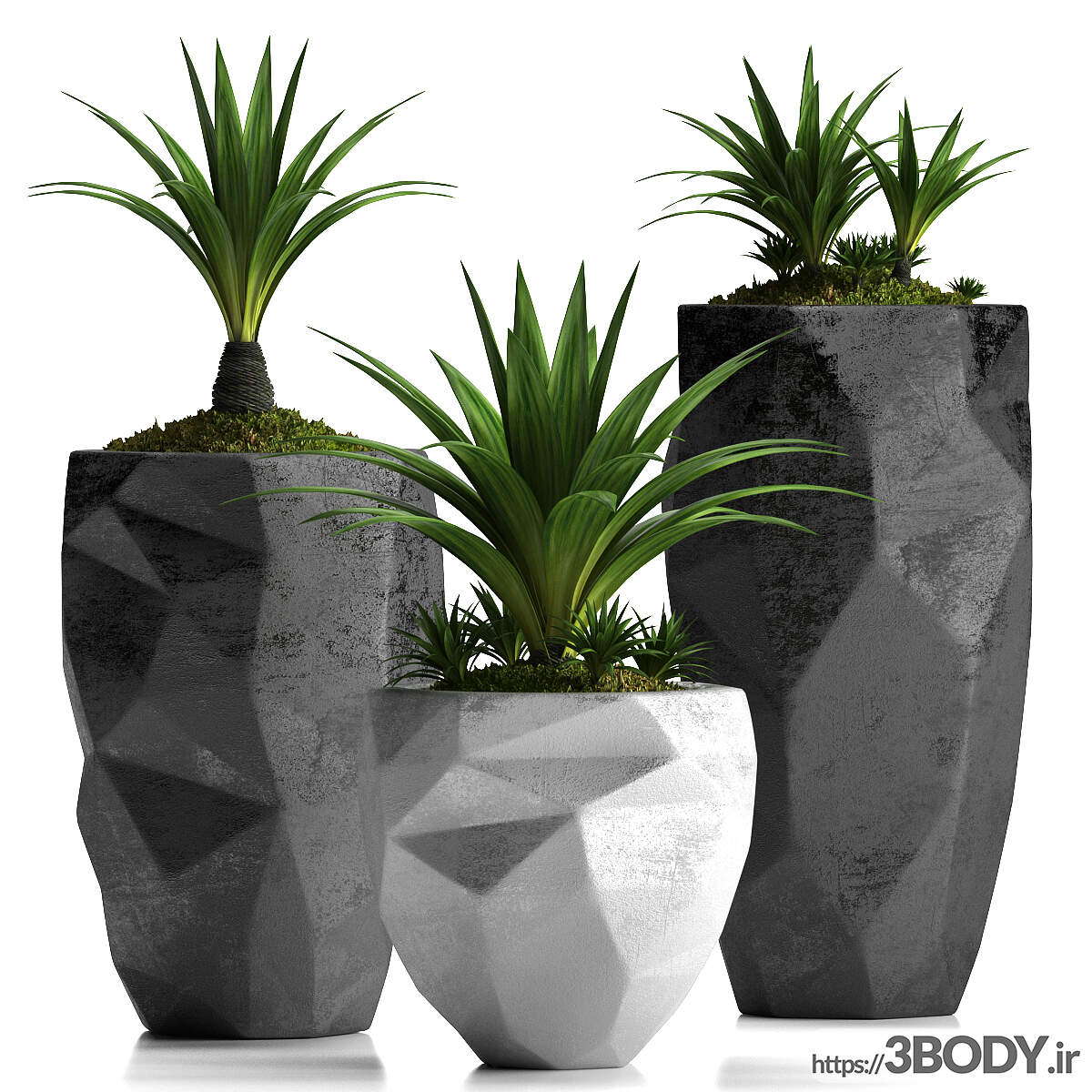 مدل سه بعدی مجموعه گیاهان گلدانی عکس 1