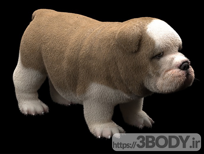 آبجکت سه بعدی سگ عکس 3