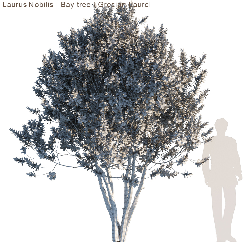 آبجکت سه بعدی درخت و درختچه عکس 3