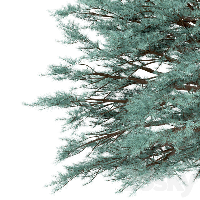 آبجکت سه بعدی مجموعه ای درختان عکس 2