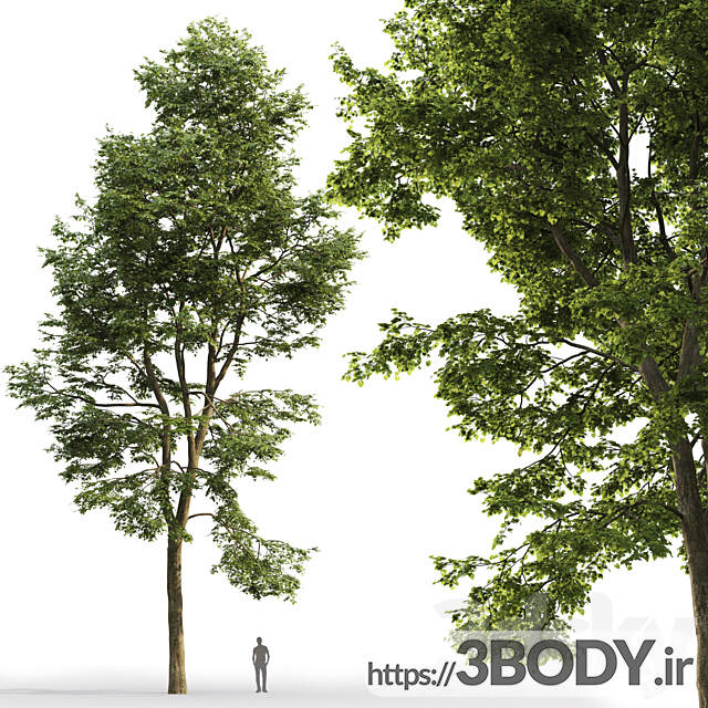 آبجکت سه بعدی درخت و درختچه عکس 2