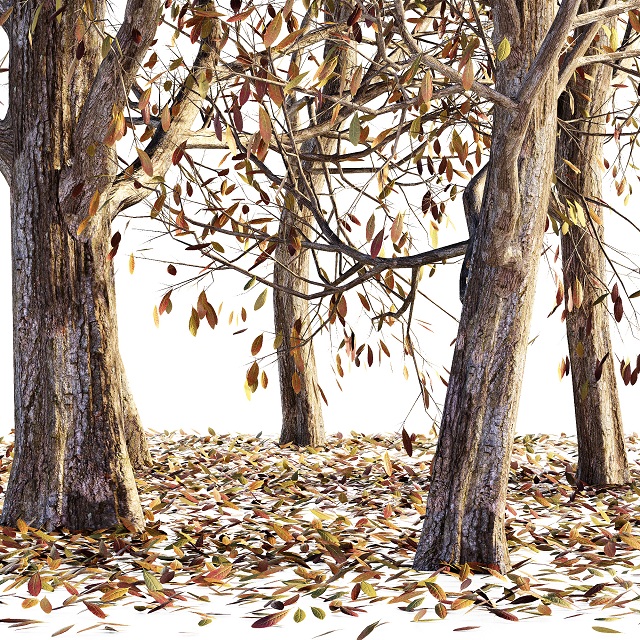 آبجکت سه بعدی درختان خشک پاییز عکس 3