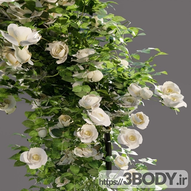 آبجکت سه بعدی گل و گیاه قوس با گل رز عکس 3