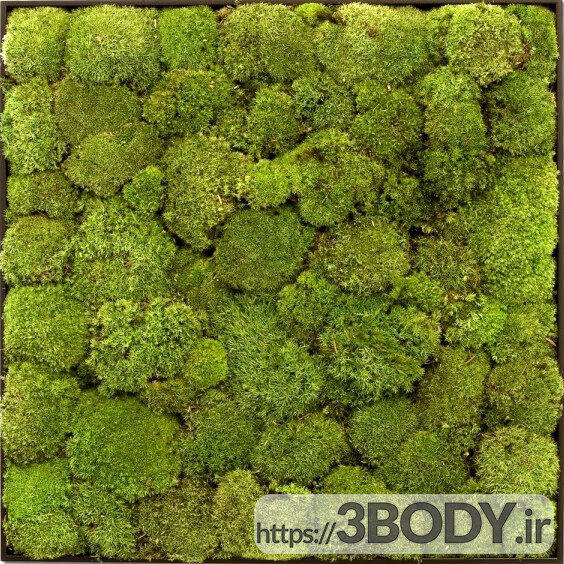 آبجکت سه بعدی گل و گیاه سنگ و خزه عکس 3