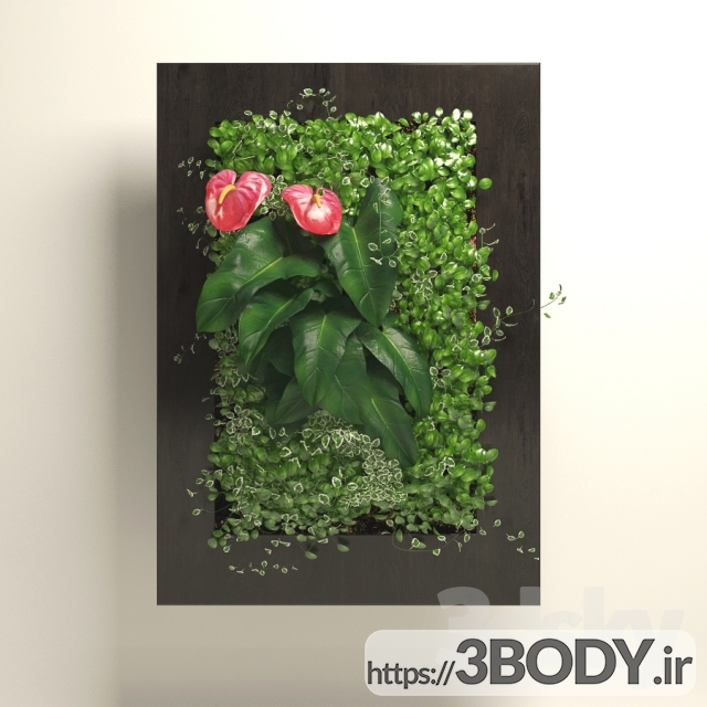 مدل سه بعدی گل استافیلیوم در باکس عکس 1