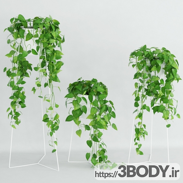 مدل سه بعدی ست تزئینی گیاه آویزان عکس 1