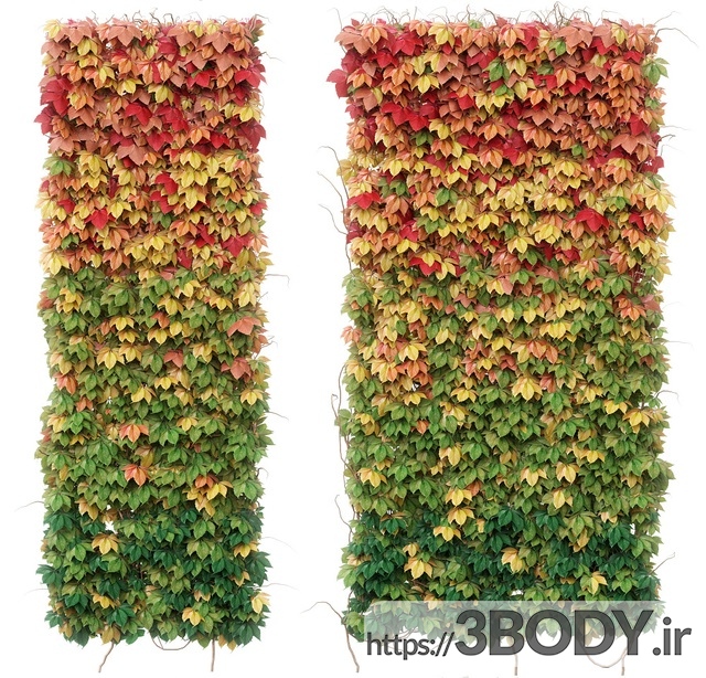 آبجکت سه بعدی  مجموعه گل و گیاه دیوار عکس 2