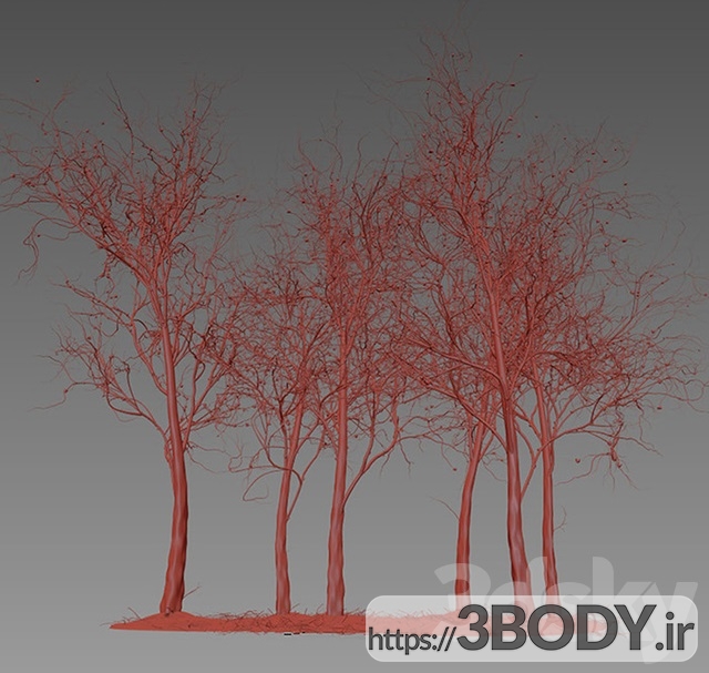 مدل سه بعدی درخت و درختچه چوب بهار پاییز عکس 3