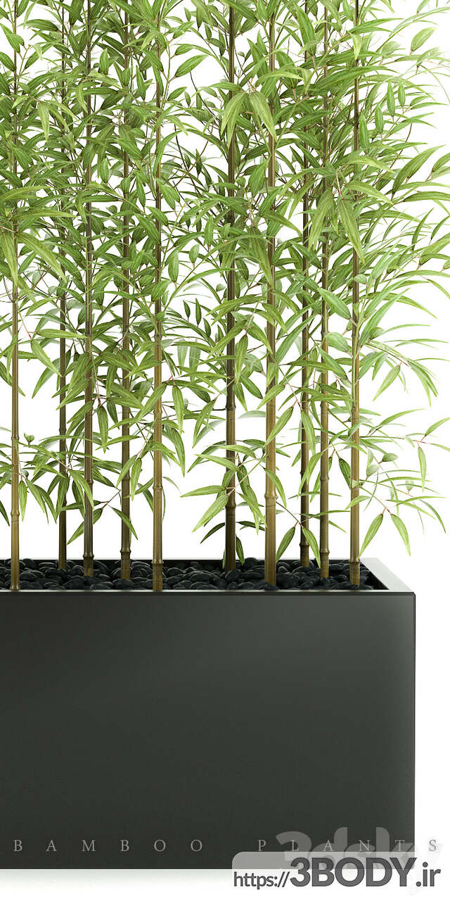 مدل سه  بعدی  مجموعه  گیاهان بامبو  عکس 2