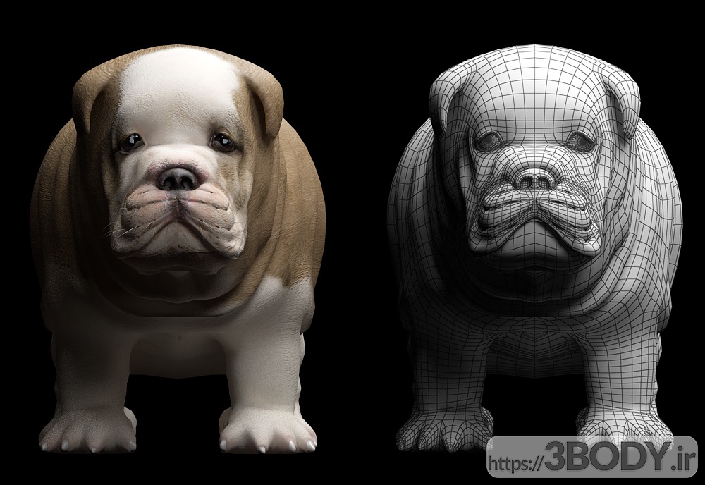 آبجکت سه بعدی سگ عکس 2