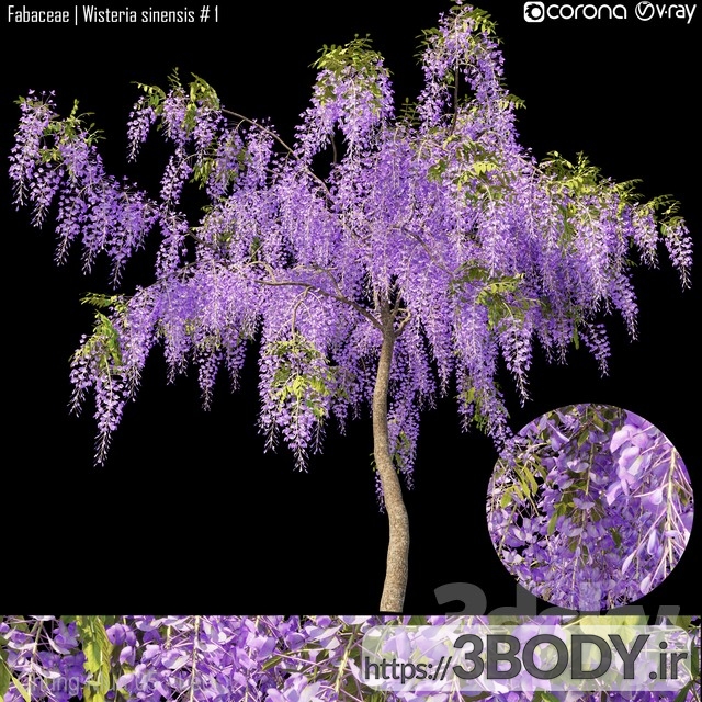 مدل سه بعدی  درخت و درختچه درخت جوان  عکس 1