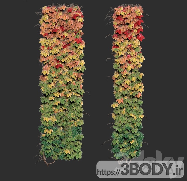 آبجکت سه بعدی  مجموعه گل و گیاه دیوار عکس 3