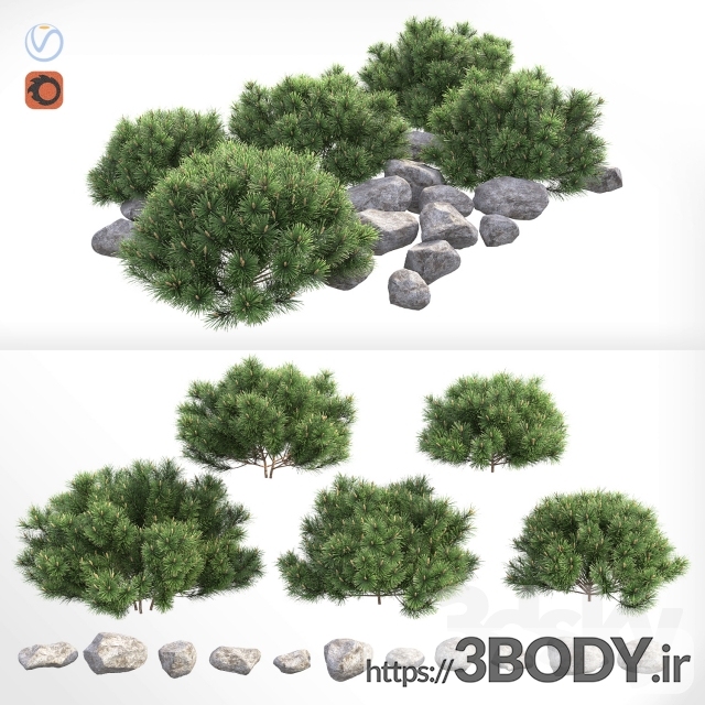 آبجکت سه بعدی درخت و درختچه کاج کوه پومیل عکس 1