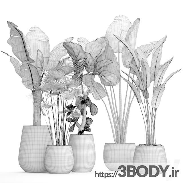 مدل سه بعدی مجموعه گلهای زیمتی اپارتمانی عکس 3