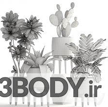 مدل سه بعدی مجموعه گیاهان زینتی عکس 3