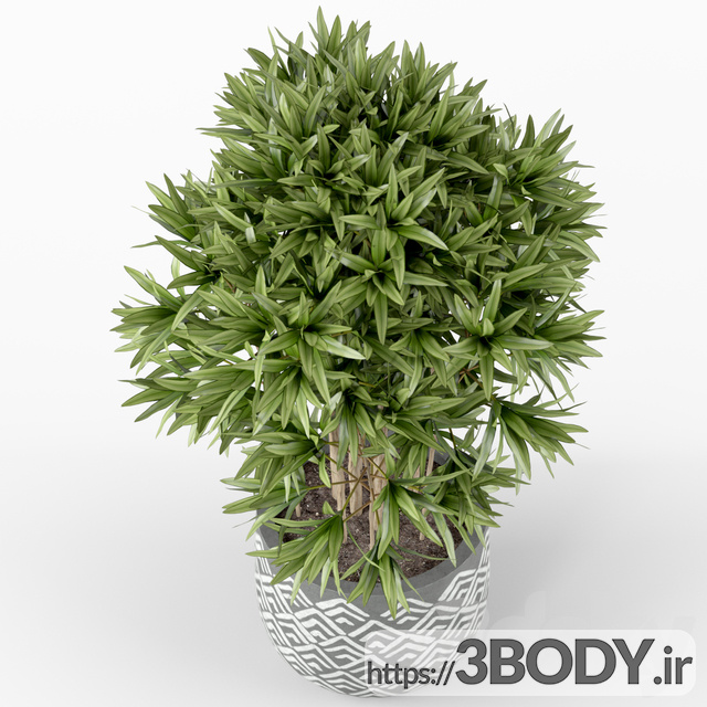 آبجکت سه بعدی گیاهان عکس 2