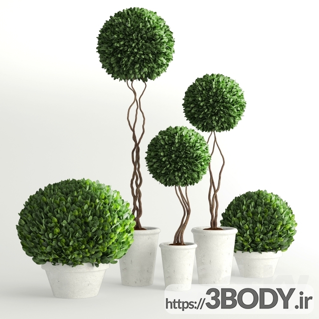 ابجکت سه بعدی مجموعه گیاهان تزئینی عکس 1