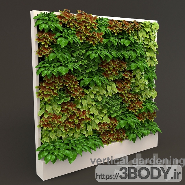 مدل سه بعدی گل و گیاه باغچه عمودی عکس 2