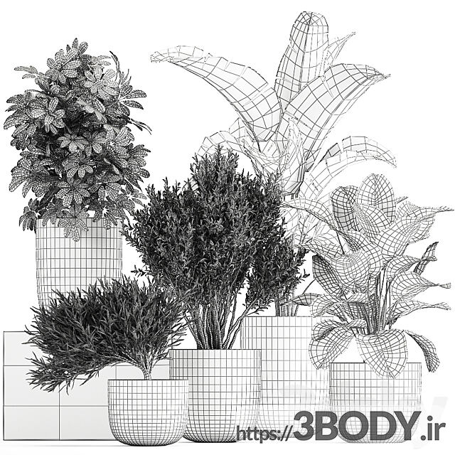 آبجکت سه بعدی مجموعه گیاهان عکس 5