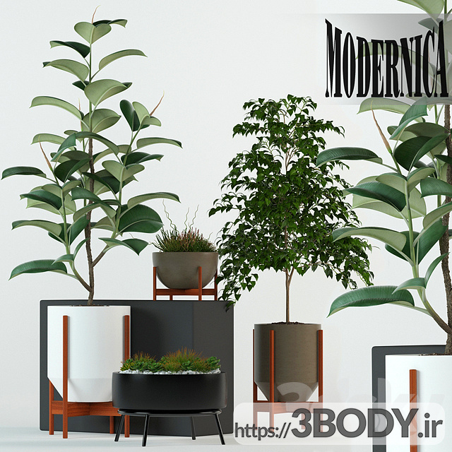 مدل سه بعدی مجموعه گیاهان زینتی عکس 1