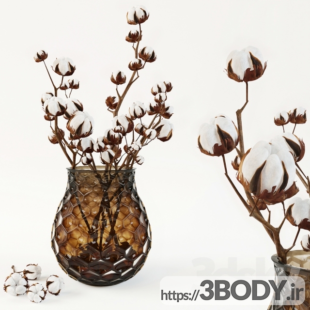 مدل سه بعدی دسته گل پنبه در گلدان عکس 1