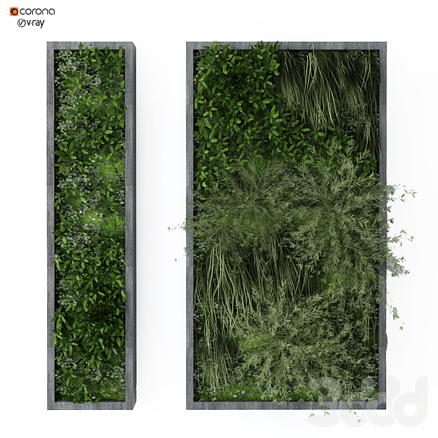 آبجکت سه بعدی گل و گیاه دیواری عکس 1