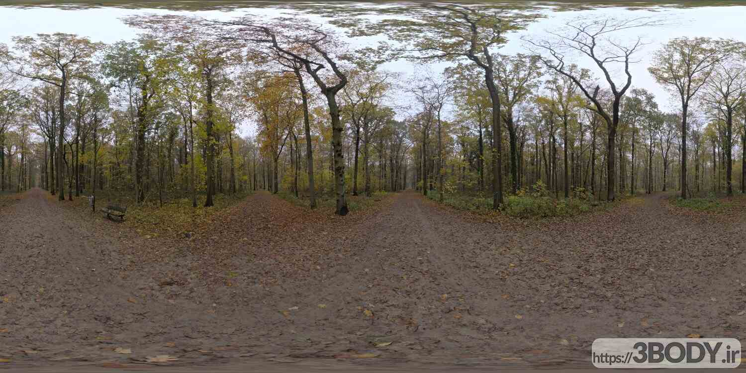 فایل HDRI طبیعت جنگل عکس 1