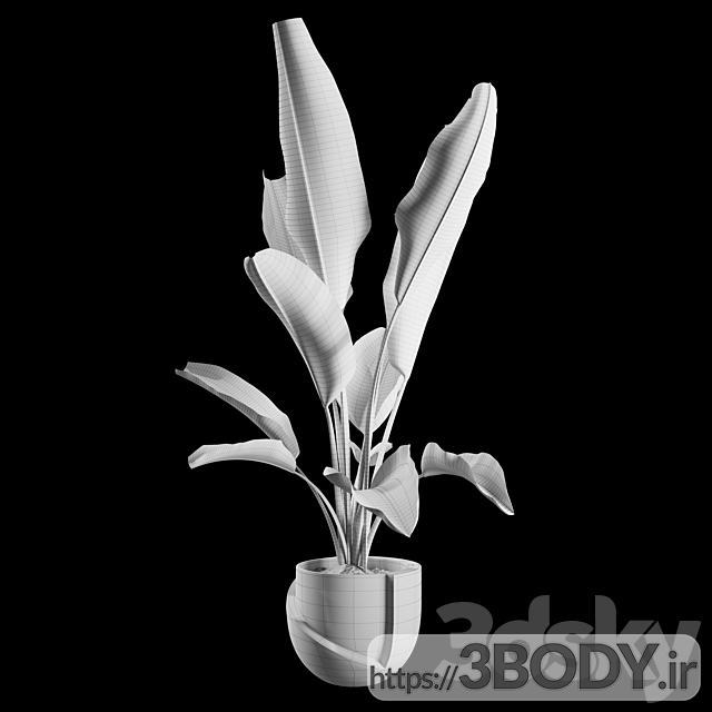 مدل سه بعدی گل و گلدان عکس 5
