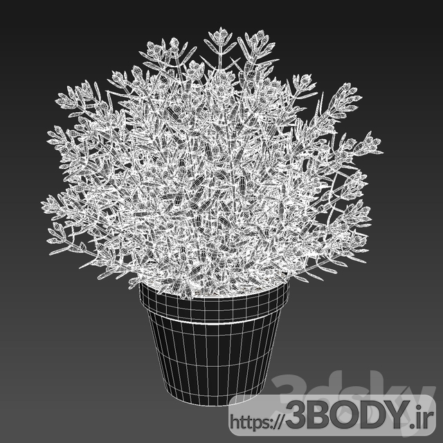 آبجکت سه بعدی گل و گلدان سبک داخلی عکس 2