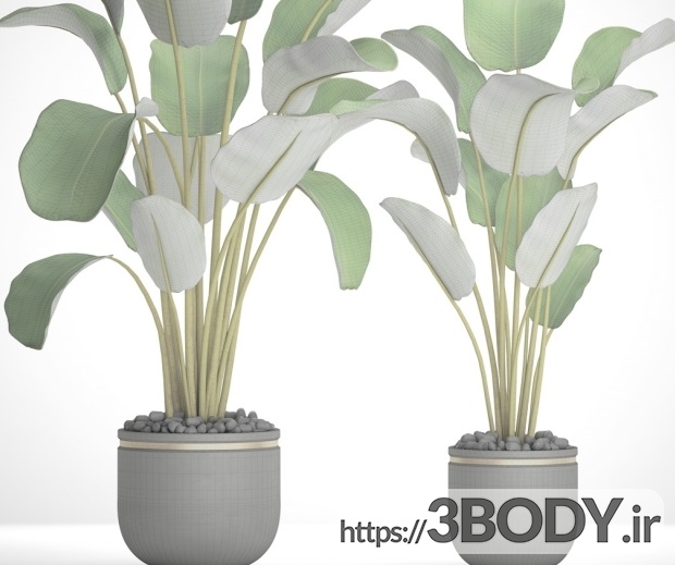 مدل سه بعدی مجموعه گیاهان گلدانی عکس 3