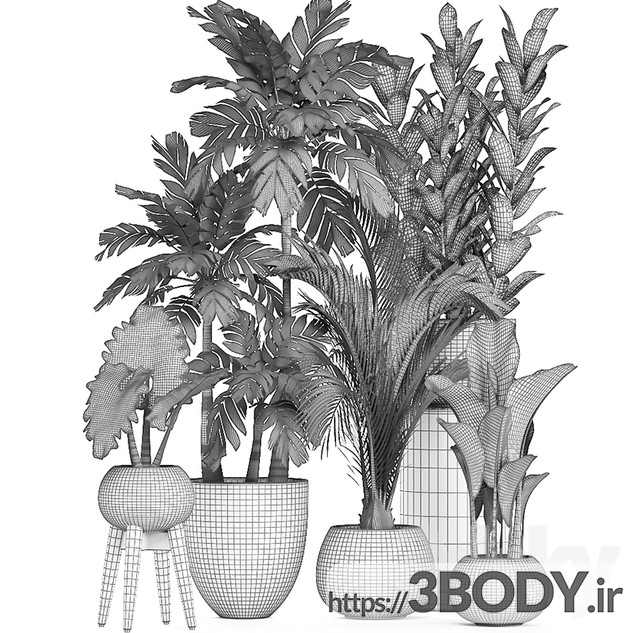 مدل سه بعدی مجموعه گیاهان زینتی عکس 3