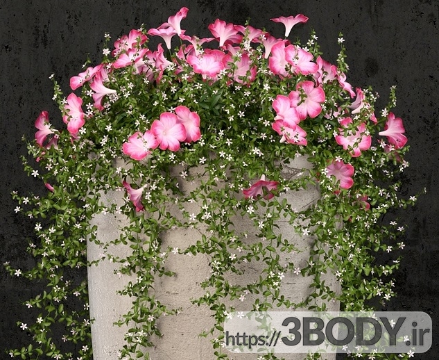 مدل سه بعدی گل و گیاه با گلدان دکوری عکس 3